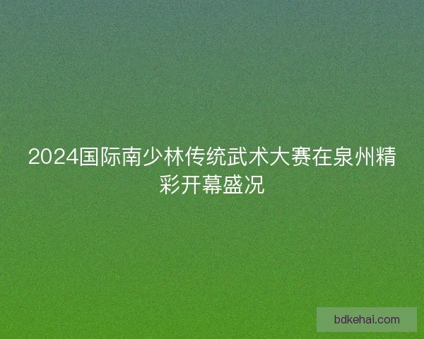 2024国际南少林传统武术大赛在泉州精彩开幕盛况