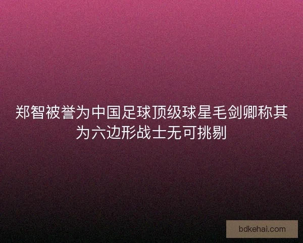 郑智被誉为中国足球顶级球星毛剑卿称其为六边形战士无可挑剔